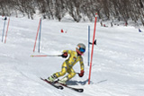 スキー競技(アルペン)